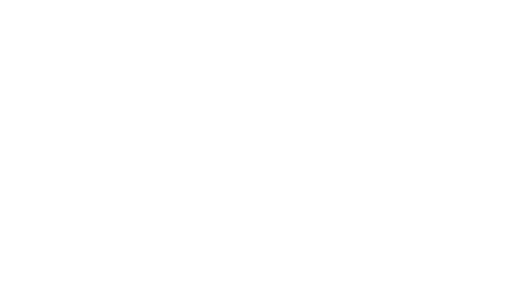 Sisters of Bon Secours