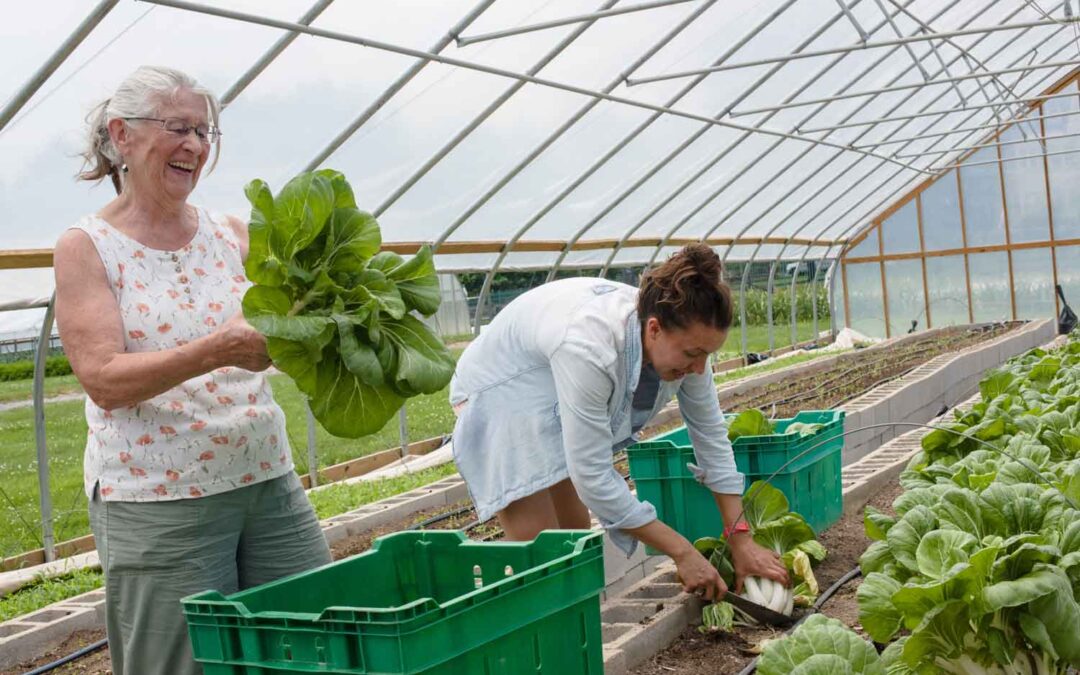 Caring for Earth, Caring for You